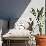 Bay View * Лагуш